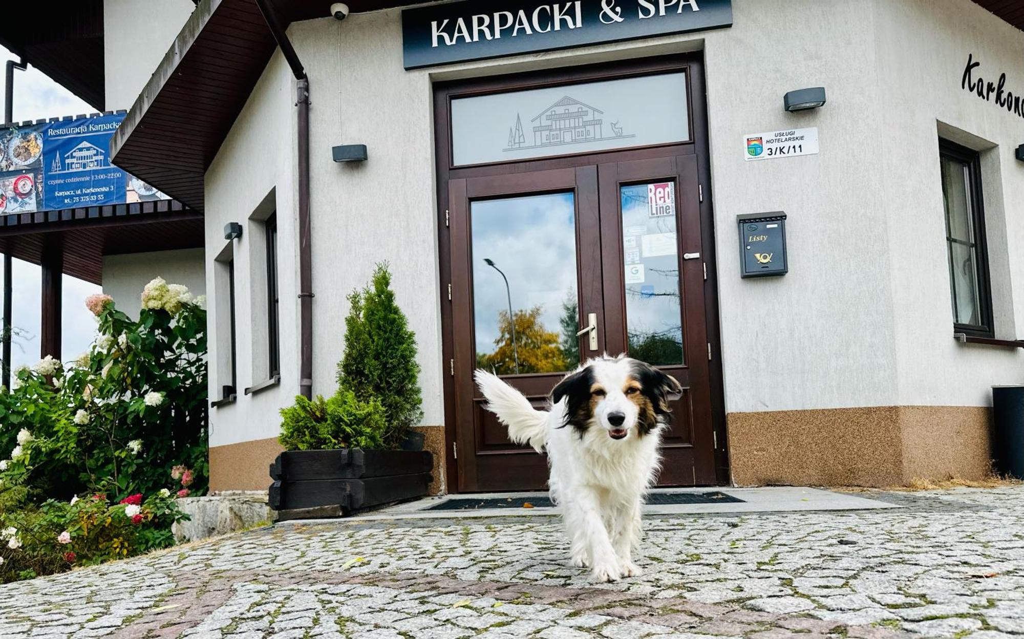 Karpacki & Spa - Blisko Wyciagu, Restauracja, Sala Zabaw, Bar 24H (Adults Only) Karpacz Ngoại thất bức ảnh